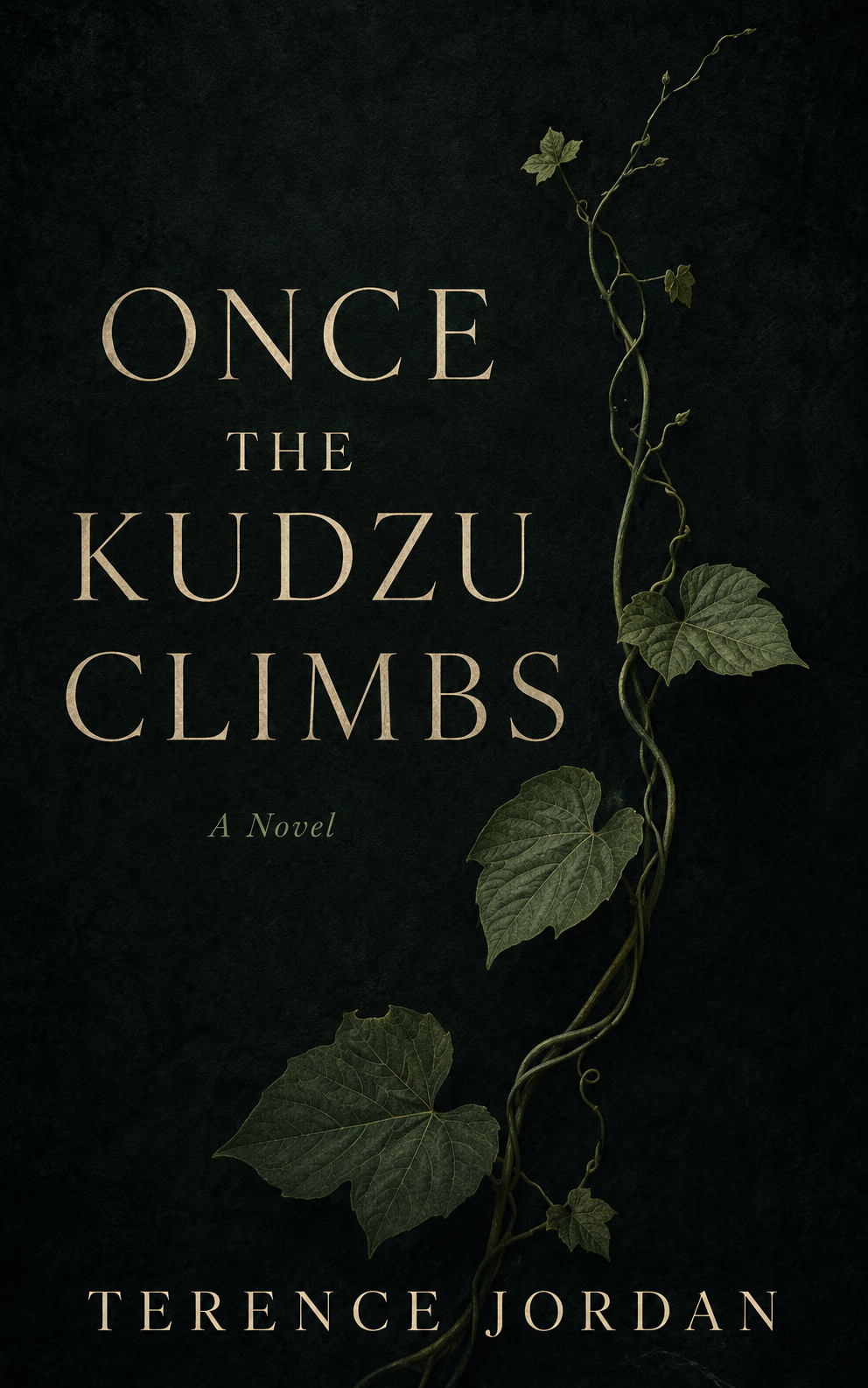 Once the Kudzu Climbs by Terence Jordan book cover